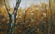240-Im-Wald-I-2013-Oel-Holz-15x24cm