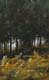 245-Einsame-Landschaft-III-2013-Oel-Holz-24x15cm