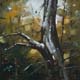 254-Im-Wald-II-2013-Oel-Holz-15x15cm