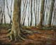 263-Waldszene-bei-Kassel-II-2012-Oel-Holz-24x30cm