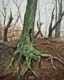 264-Waldszene-bei-Kassel-I-2012-Oel-Holz-30x24cm