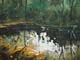 267-Wasserspiegelungen-im-Wald-I-2012-Oel-Lw-Holz-18x24cm