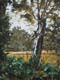 271-Durchblick-im-Park-S-2012-Oel-Lw-Holz-24x18cm