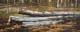 278-Baumstaemme-Ks-Prinzenquelle-2012-Oel-Holz-12x30cm