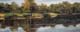279-Bugagelaende-Ks-2012-Oel-Holz-12x30cm