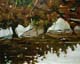 281-Spiegelung-am-Wasser-2010-Oel-Holz-12x15cm
