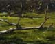 284-Windbruch-I-2010-Oel-Holz-12x15cm
