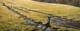290-Wiesenstueck-am-Doernberg-2008-Oel-Holz-20x50cm