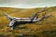291-Dem-Himmel-so-nah-I-2008-Oel-Holz-20x30cm