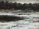 041-Landschaft-Winter-Acryl-Kt-47x62cm