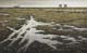 073-Landschaft-Deichvorland-2018-Acryl-Kt-50x80cm