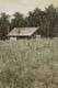 0050-Nostalghia-Haus-am-Waldrand-2018-Oel-Holz-30x20cm
