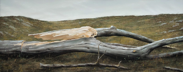 050-Letzter-Schlaf-2007-Pastell-Holz-20x50cm