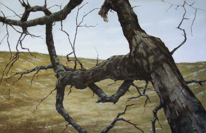 051-Der-Hakemann-2007-Pastell-Holz-35x55cm