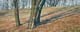 034-Ansicht-mit-Baeumen-II-2003-Pastell-Kt-Holz-20x50cm