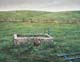 054-Silent-Green-2007-Pastell-Holz-35x45cm