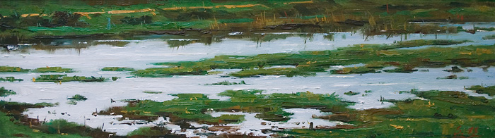 239-Deichvorland-Hamburger-Hallig-II-2013-Oel-Lw-Holz-14x50cm