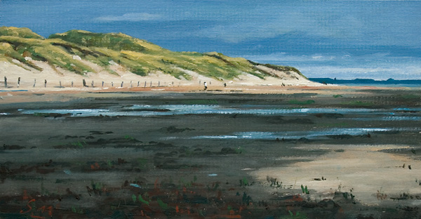 286-Amrum-Odde-Nordspitze-2011-Oel-Kt-13x25cm