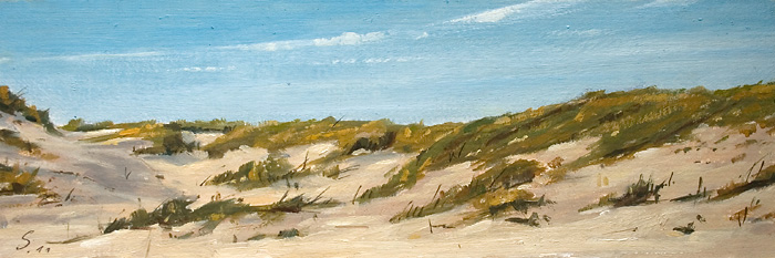 290-Duenen-Nordsee-II-2011-Oel-Kt-10x30cm