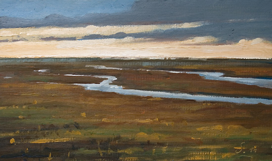 292-Deichvorland-Abends-2011-Oel-Kt-13x22cm