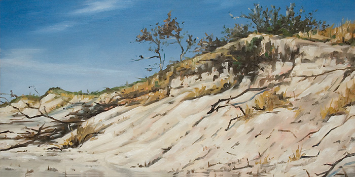 388-Ostsee-Duenenabbruch-2009-Oel-Holz-25x50cm