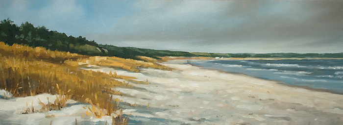 390-Usedom-Trassenheide-2009-Oel-Holz-23x63cm