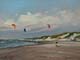 087-Am-Strand-von-Egmond-II-2015-Oel-Lw-Holz-15x20cm