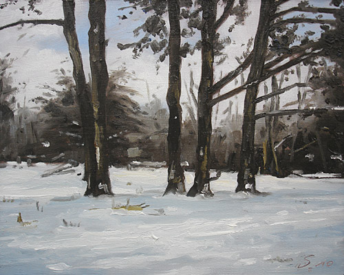 029-Winter-Ks-Fuldaaue-I-2010-Oel-Holz-12x15cm