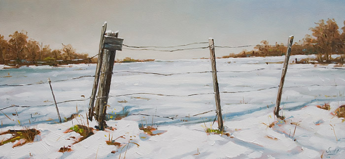 057-Winter-bei-Kassel-IV-2011-Oel-Holz-30x65cm