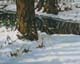 017-Winter-Ks-Fuldaaue-III-2010-Oel-Holz-12x15cm