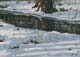 019-Winter-am-Wasser-2010-Oel-Lw-Holz-13x18cm