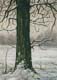 025-Winterstimmung-2010-Oel-Lw-Holz-18x13cm