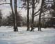 029-Winter-Ks-Fuldaaue-I-2010-Oel-Holz-12x15cm