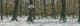 031-Wald-im-Winter-2010-Oel-Lw-Holz-10x30cm