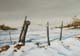 033-Winterszenen-XVI-2011-Oel-Holz-14x20cm