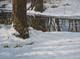 043-Winterimpression-2010-Oel-Lw-45x60cm