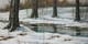 053-Winterszene-mit-Baeumen-2011-Oel-Lw-2x40x40cm
