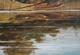 058-Spiegelungen-2011-Oel-Holz-36x52cm