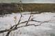 060-Winterspuren-II-2012-Oel-Holz-20x30cm