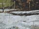 083-Winterstudie-II-2020-Oel-Kt-15x20cm