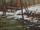 088-Eis-und-Schnee-II-2020-Oel-Holz-19x25cm