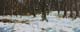 093-Winter-am-Waldrand-II-2020-Oel-Holz-18x45cm
