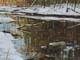 104-Am-Bach-IV-2020-Oel-Holz-18x24cm