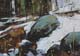 108-Steine-am-Hang-I-2020-Oel-Lw-Holz-14x20cm
