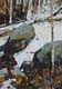 109-Steine-am-Hang-II-2020-Oel-Lw-Holz-20x14cm