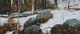 110-Steine-am-Hang-III-2020-Oel-Lw-Holz-15x35cm