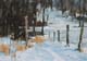 114-Schnee-im-Wald-V-2020-Oel-Kt-14x20cm