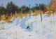 116-Im-Sonnenlicht-I-2020-Oel-Kt-14x20cm