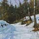 126-Waldweg-2020-Oel-Kt-18x18cm