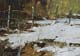 137-Im-Schnee-II-2020-Oel-Kt-14x20cm